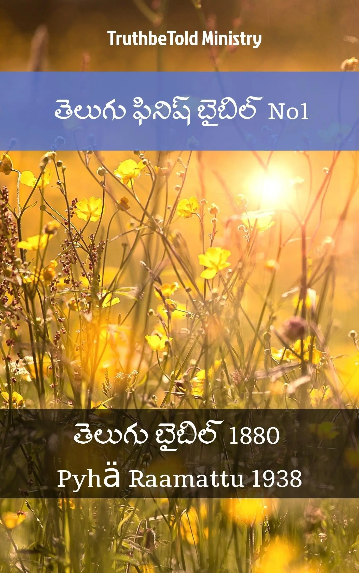 తెలుగు ఫినిష్ బైబిల్