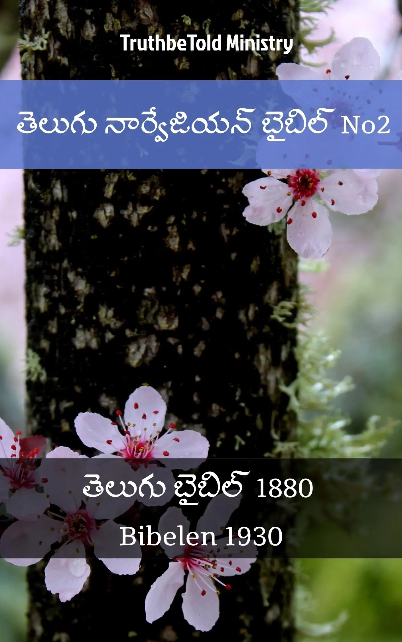 తెలుగు నార్వేజియన్ బైబిల్ No2