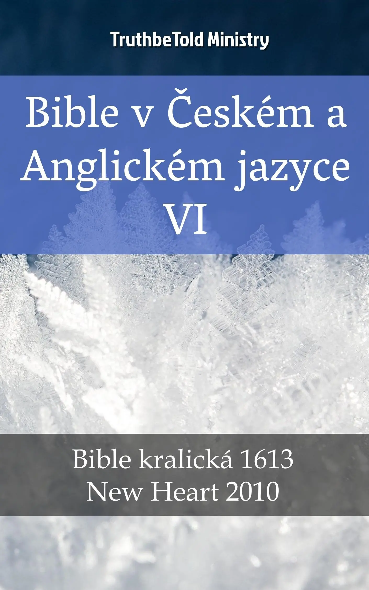 Bible v Českém a Anglickém jazyce VI