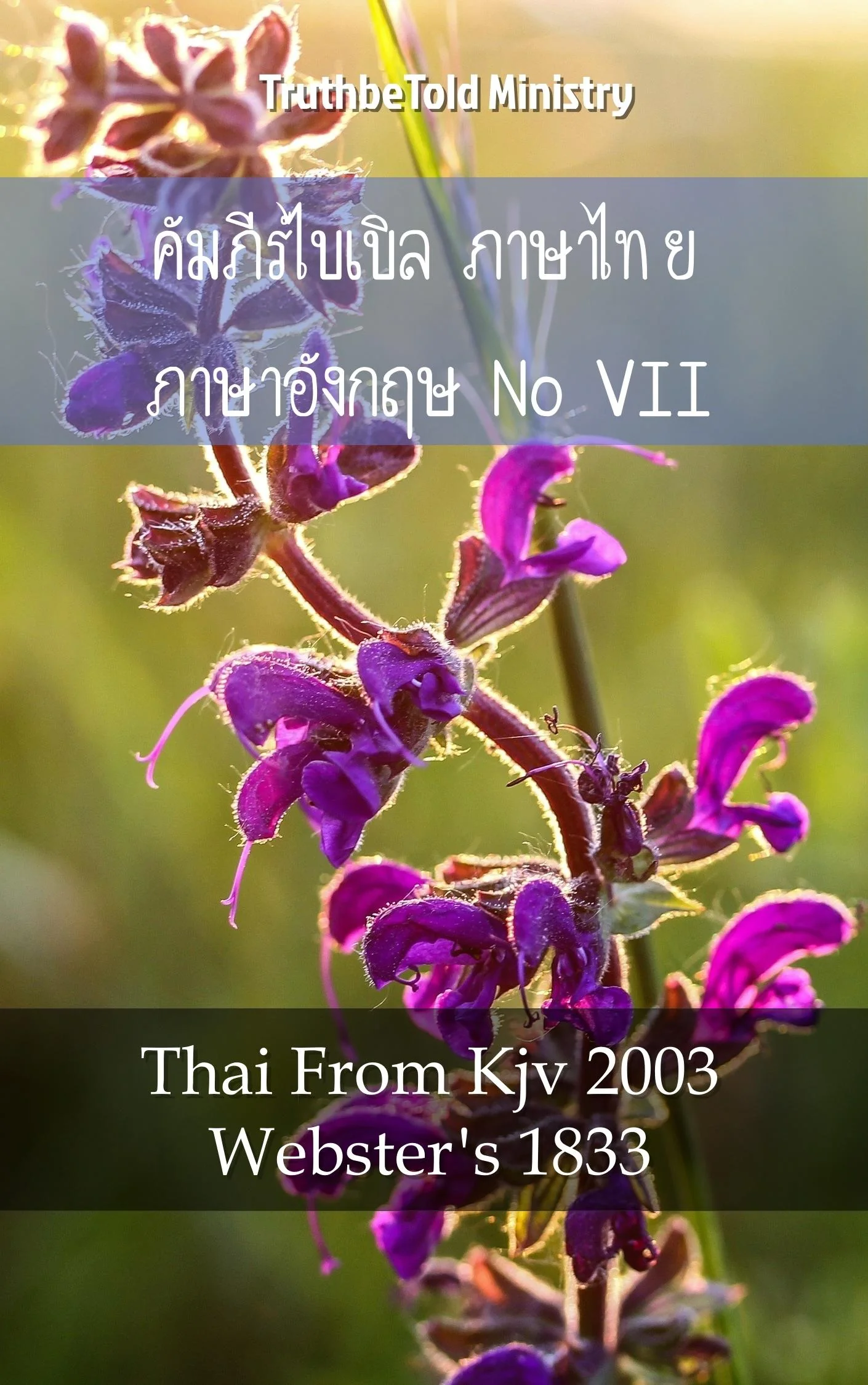 คัมภีร์ไบเบิล ภาษาไทย ภาษาอังกฤษ VII