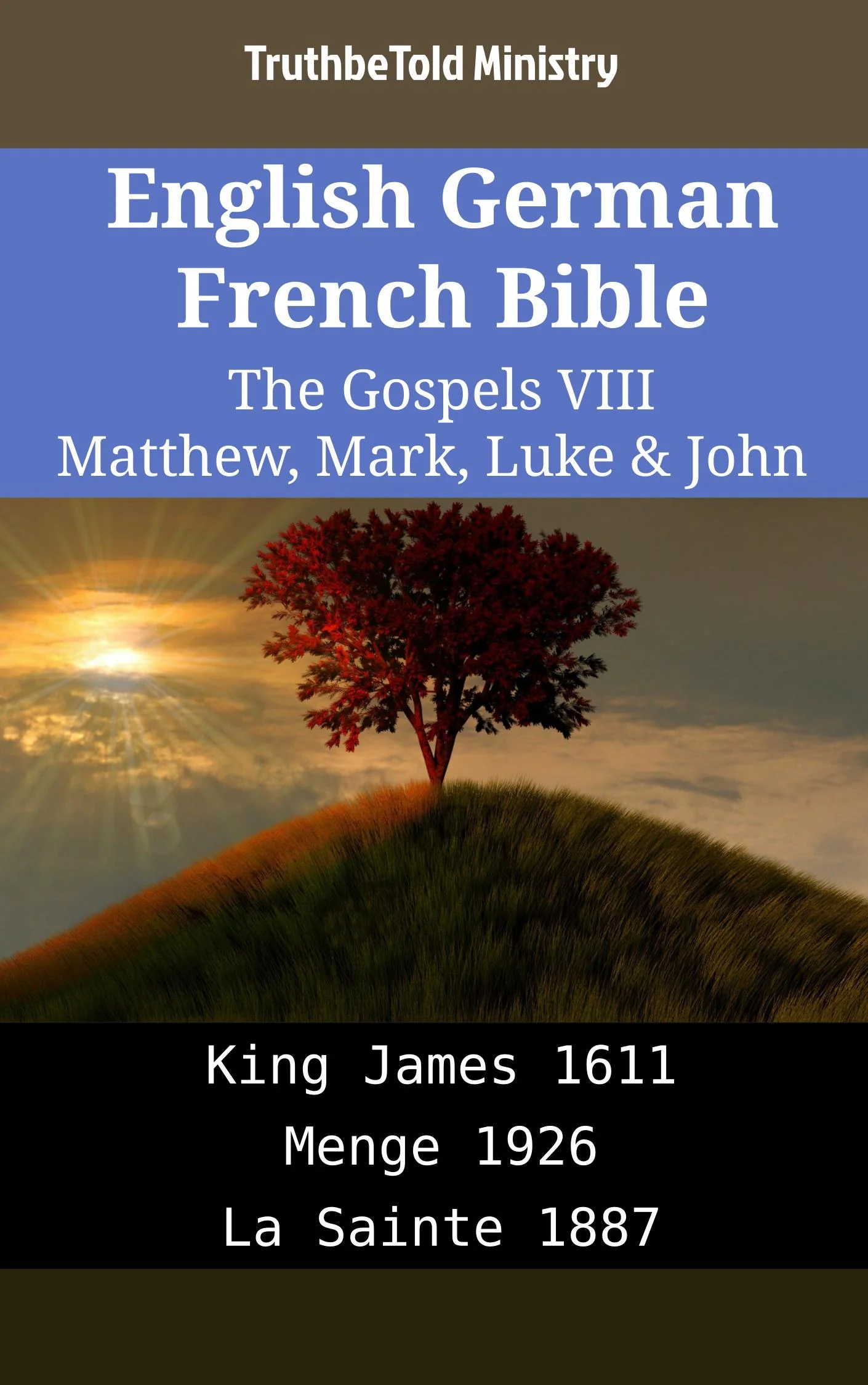 English German French Bible - The Gospels VIII - Matthew, Mark, Luke & John