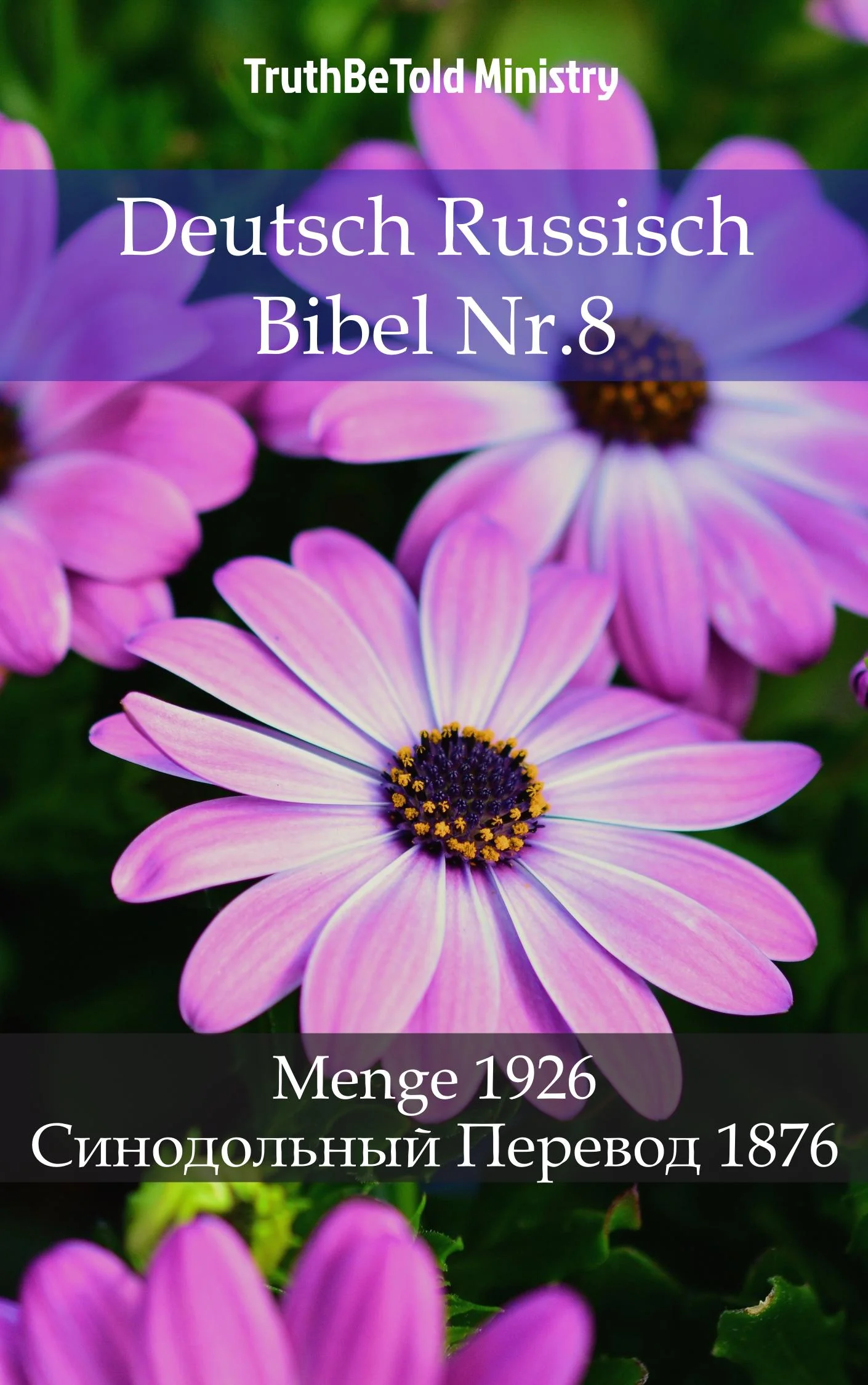 Deutsch Russisch Bibel Nr.8