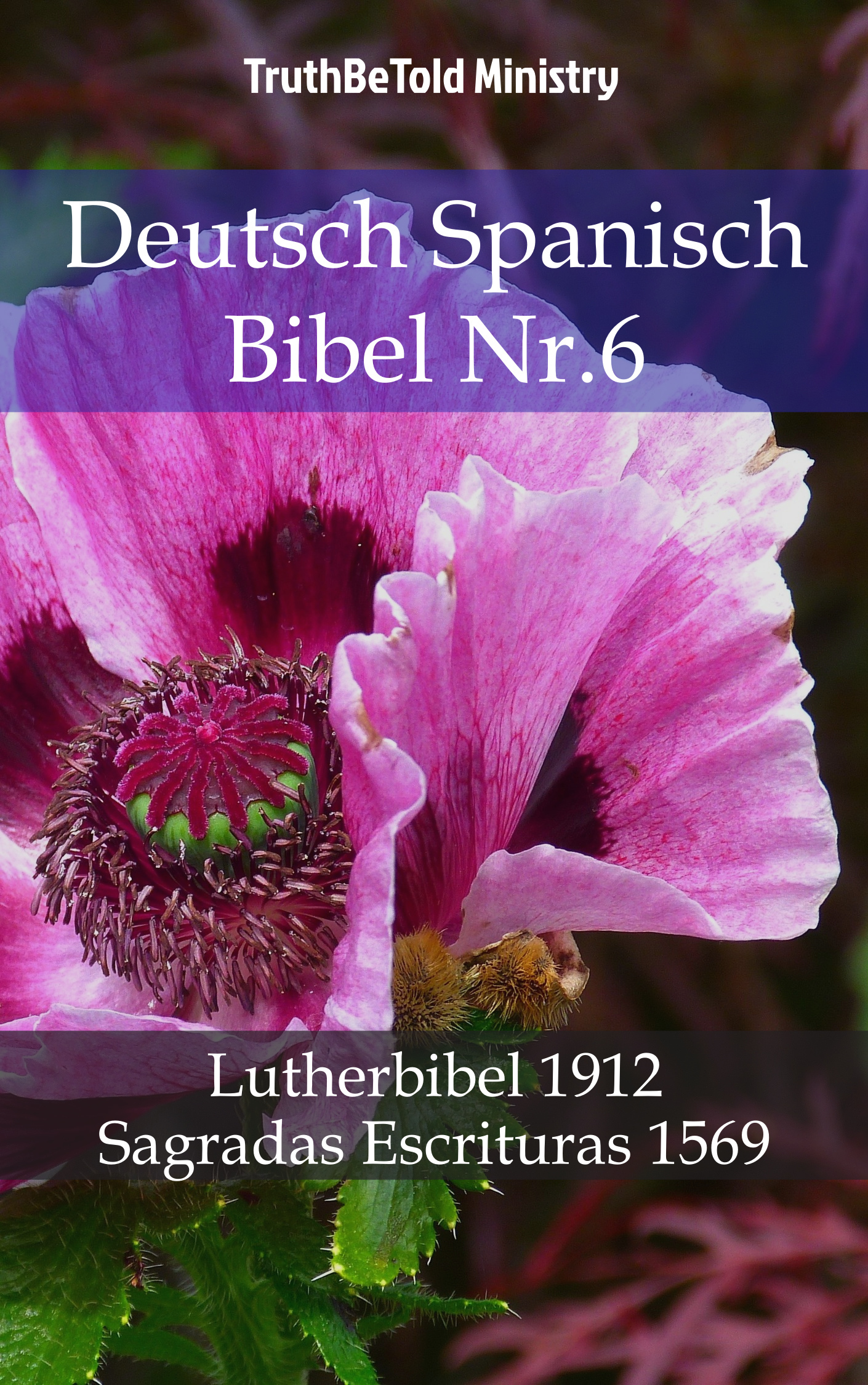 Deutsch Spanisch Bibel Nr.6
