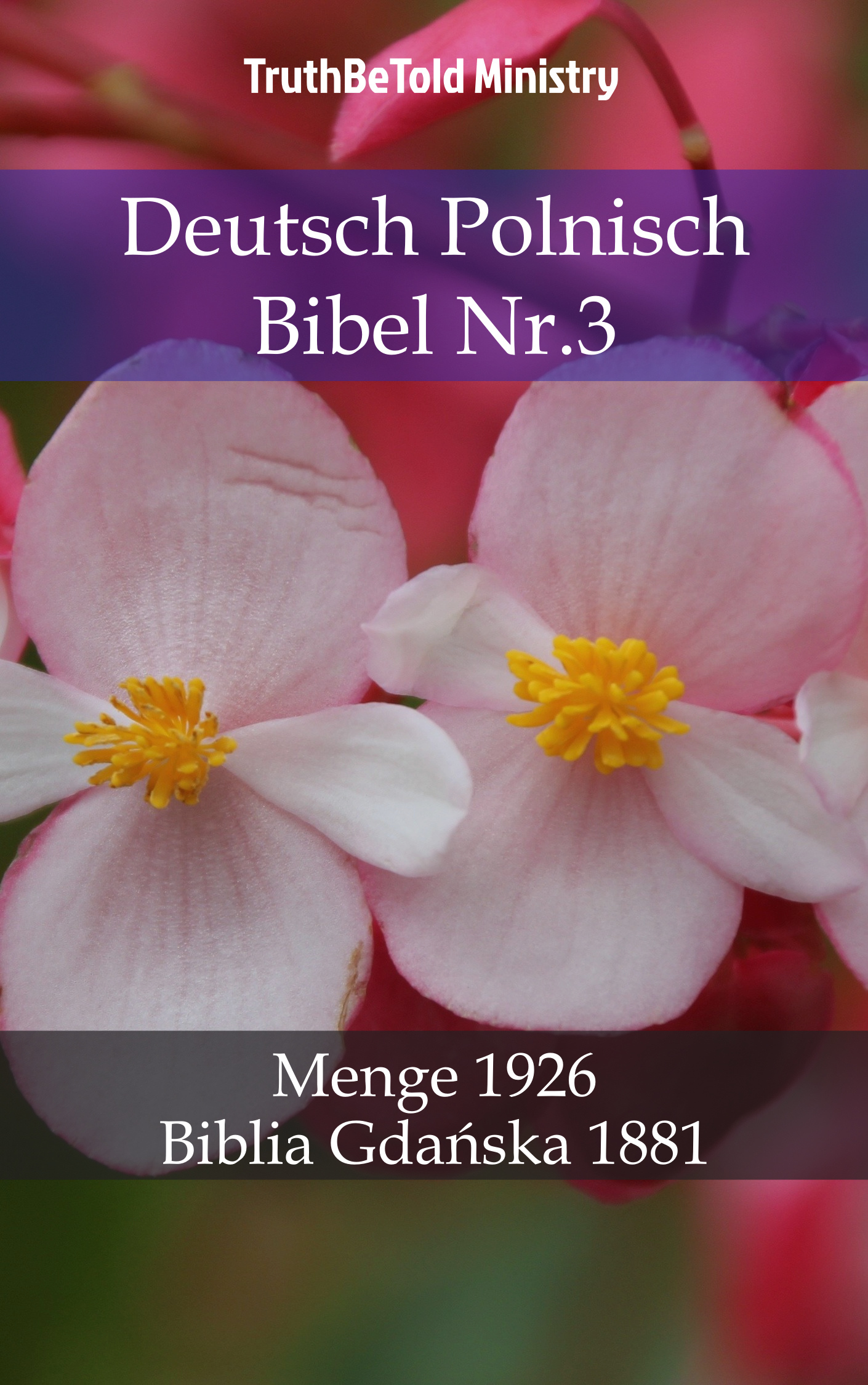 Deutsch Polnisch Bibel Nr.3