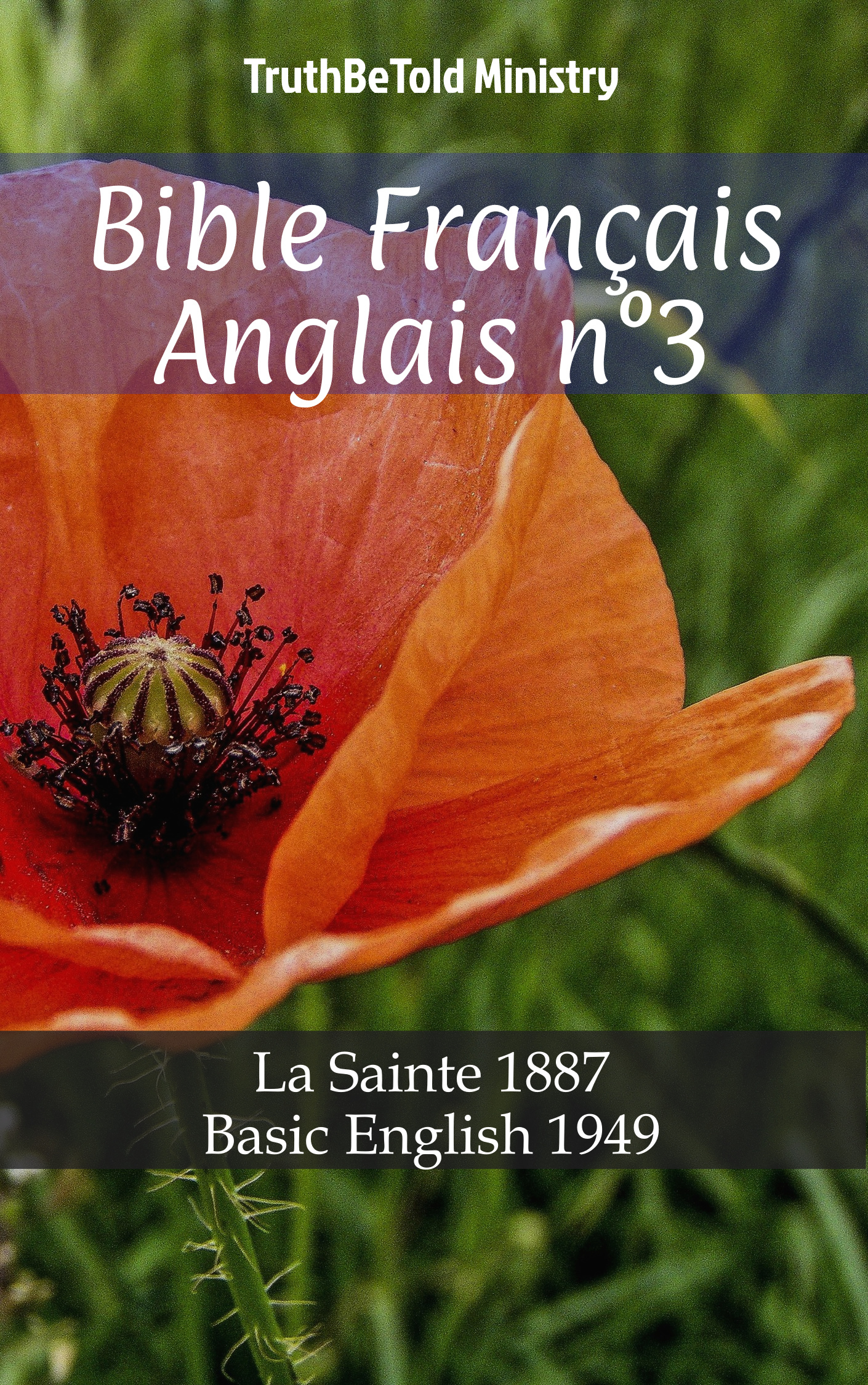 Bible Français Anglais n°3