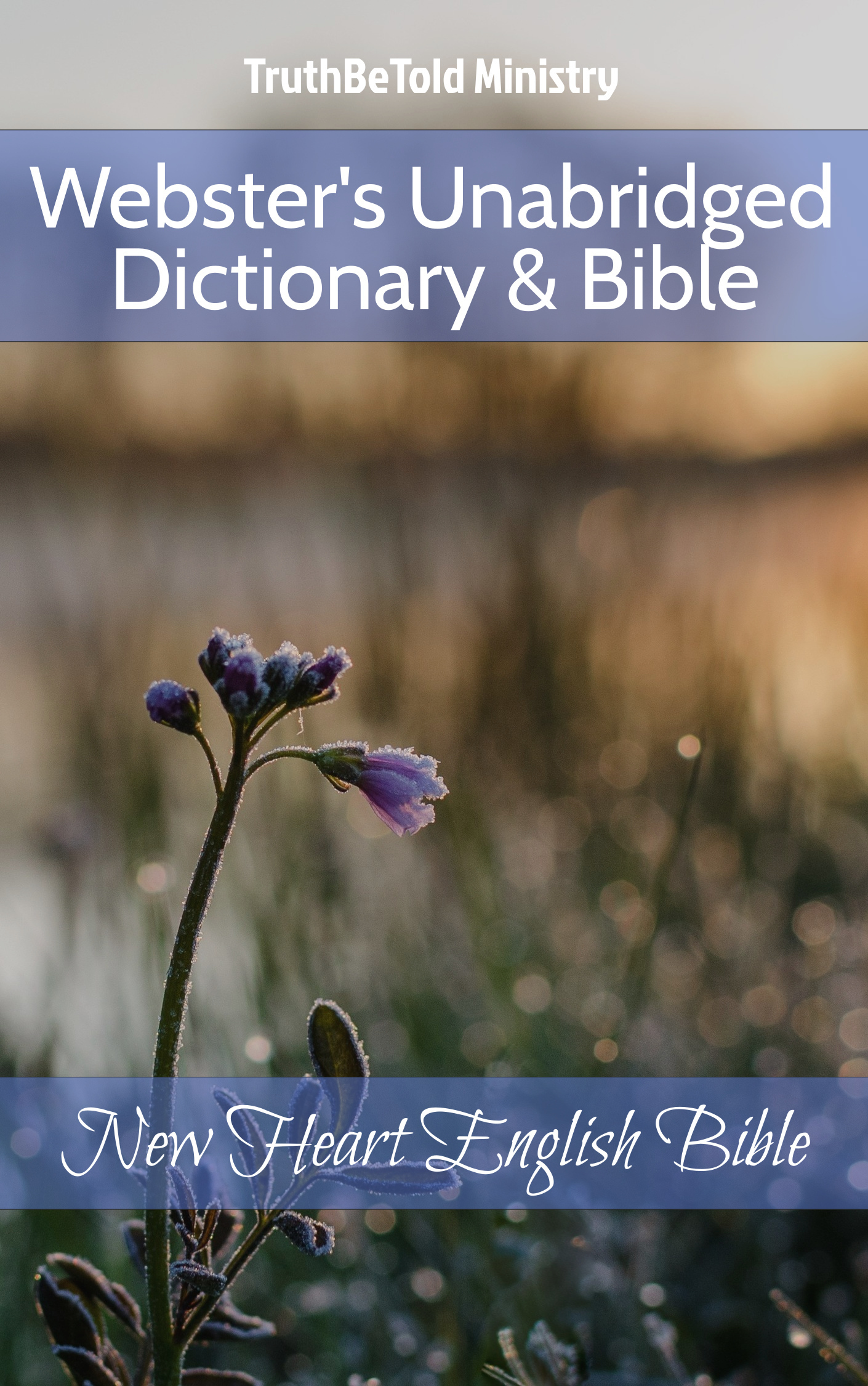 Webster's Unabridged Dictionary & Bible